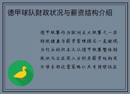 德甲球队财政状况与薪资结构介绍
